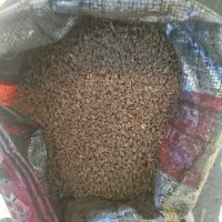 حدود 7کیلو گندم معاوضه با کود کبوتر