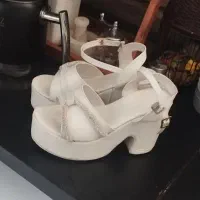 کفش مجلسی نو شماره ۳۷