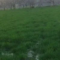 فروش کاه جو