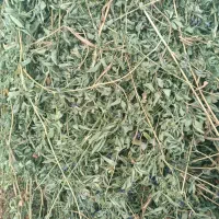 یونجه درجه یک خشک خشک بدونه ساقه