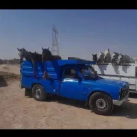 اسب داری زنگ بزن پرداخت انلاین