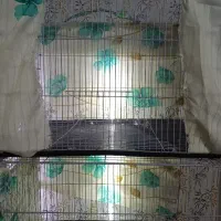 قفس 60در40