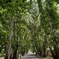 ۴۵۰م باغچه قیمت کاسبی بر خیابان اصلی/تهراندشت