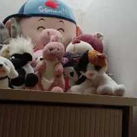 عروسک خارجی