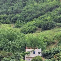 ویلاگلبنفشهدرطبیعترویبلندی