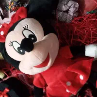 عروسک در طرح های مختلف