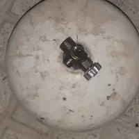 پیک نیک
