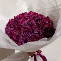 اکسسوری