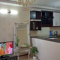 کابینت،هود