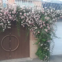 یک واحد مسکونی همکف