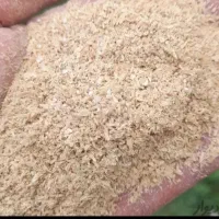 فروش سبوس