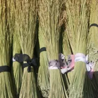 جارو دستی
