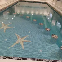 نگهداری،ساخت استخر سونا جکوزی