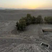 زمین