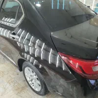 دنا پلاس تک برگ