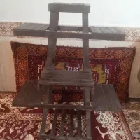 پایه گل|گل و گیاه طبیعی|تربت جام, معدآباد|دیوار