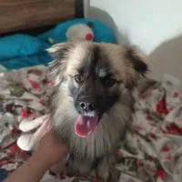 3000000