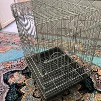 قفس طوطی