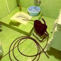 لوله بازکنی توحید زاد نیروهوایی شاه ابراهیم سلامت