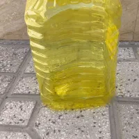 دبه ترشی|ظروف نگهدارنده، پلاستیکی، یک‌بارمصرف|اصفهان, مصلی|دیوار