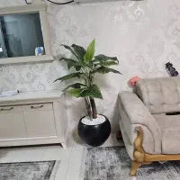 خونه اجاره مبله