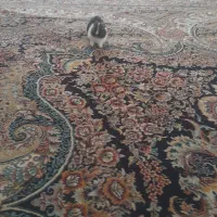 خرگوش سرحال و زرنگ