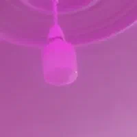 لاپ