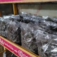 کاکوتی