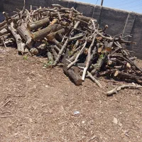 خرید و فروش چوب