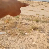 فروش-زمین
