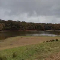 تور شمال یک روزه