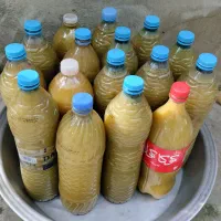آبغوره تازه