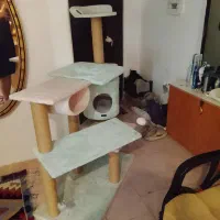 اسکرچر