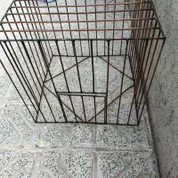قفس