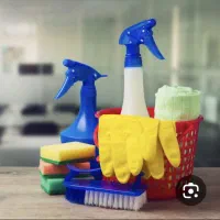 نیروی خدمات شرکت خصوصی