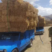 فروش پرس شمال