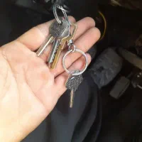 پیدا شده