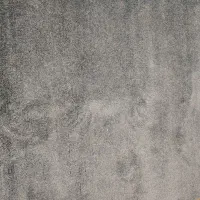 فروش پالاز موکت