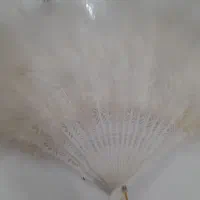 بادبزن پر