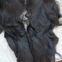 کلاه گیس