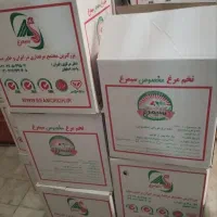 پخش تخم مرغ (سیمرغ اصفهان)