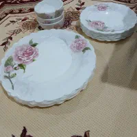 سرویس ۲۵ پارچه غذاخوری