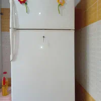 یخچال فریزردوو ۲۷۰۰۰۰۰۰