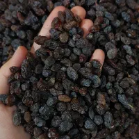 کشمش گوشتی شیرین