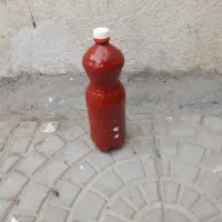 رب خانگی