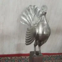 مرغ علامت