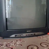 تلویزیون
