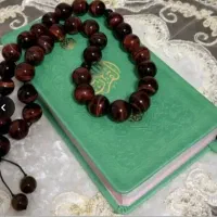 سرکتاب رایگان