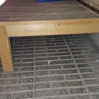 تخت