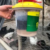 تله سطلی جاذب مگس